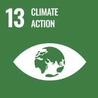 Un SDG 13 icon - climate action